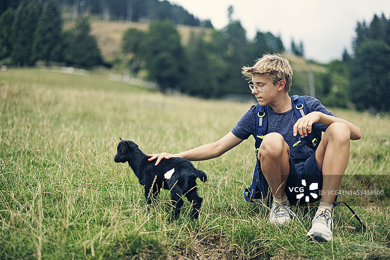 在奥地利萨尔茨堡阿尔卑斯山偶遇小山羊的青少年徒步旅行者图片素材