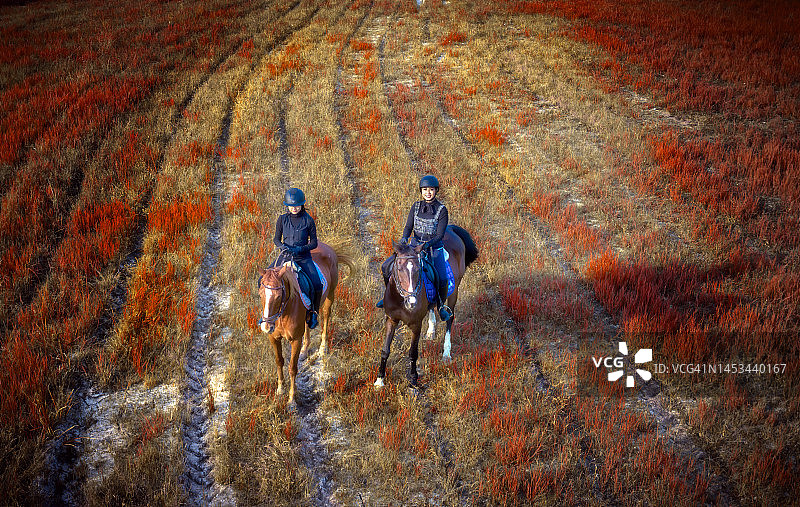 骑行之路图片素材