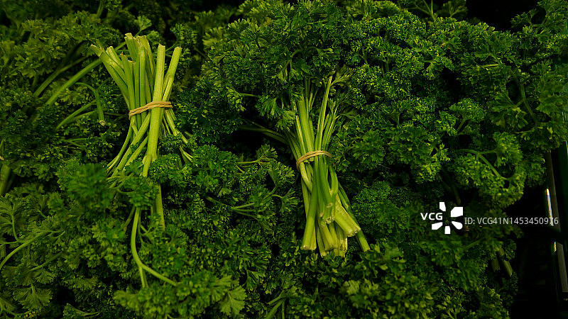 香芹图片素材