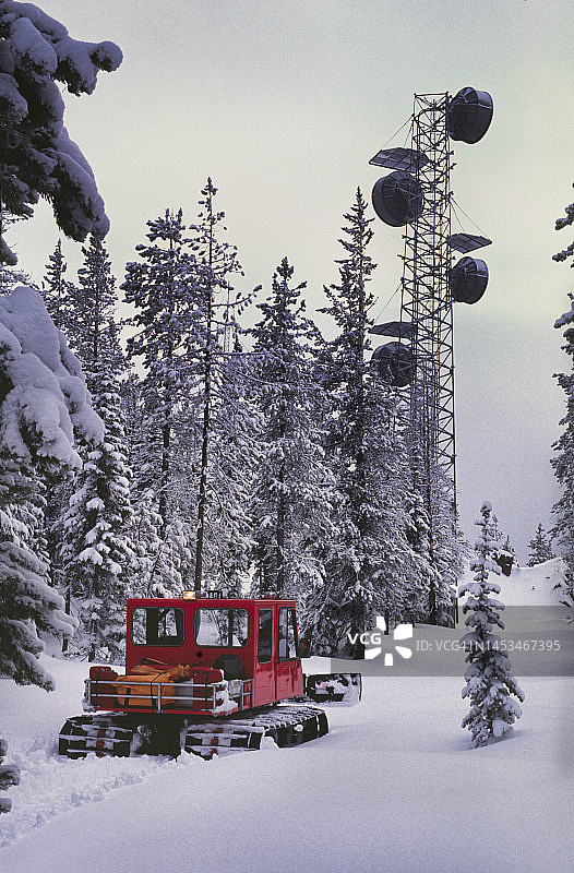 雪地猫与山顶信号塔图片素材