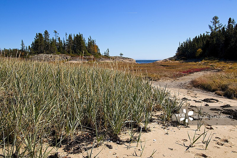 走向水边图片素材