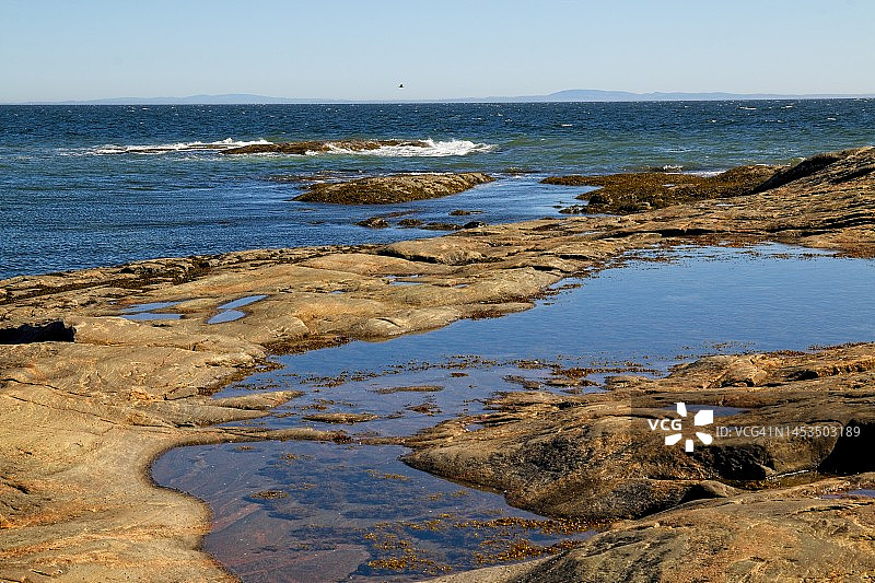 潮汐池图片素材