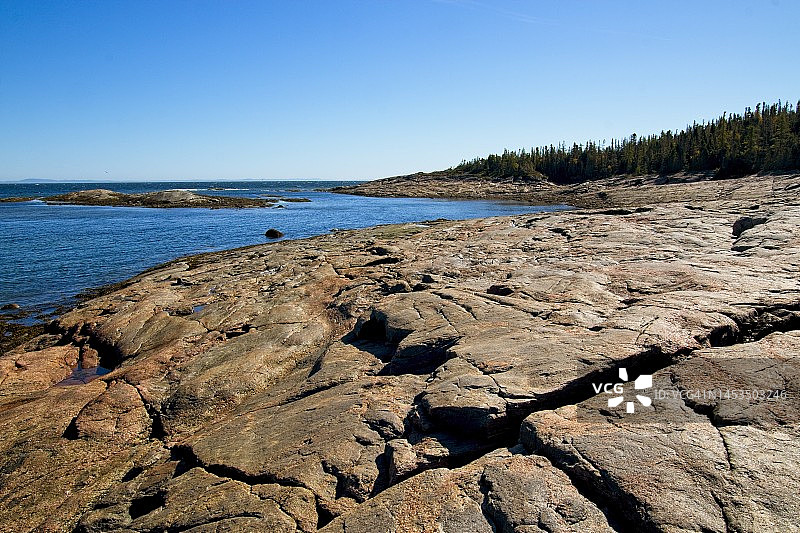 树、岩石与水的交汇之处图片素材