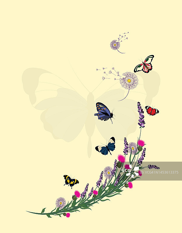 薰衣草框架与野花、蒲公英、粉色荆棘、蝴蝶插画图片素材