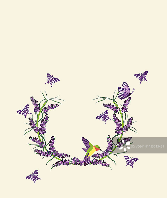薰衣草、小鸟、蝴蝶和复古紫色的框架插画图片素材