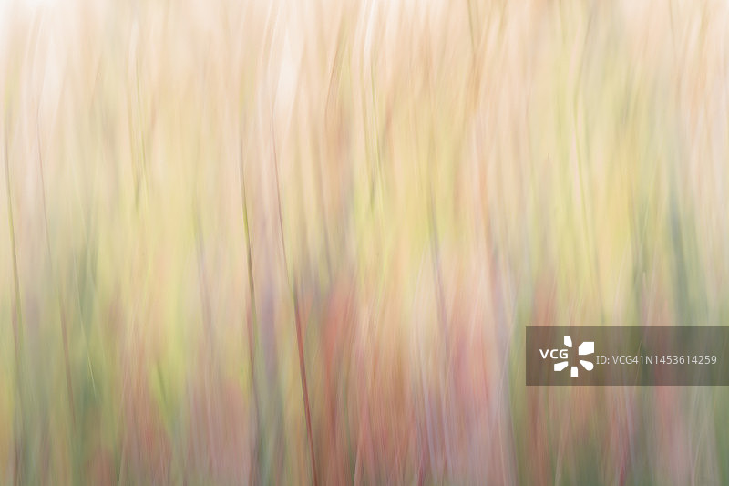 抽象的草图片素材