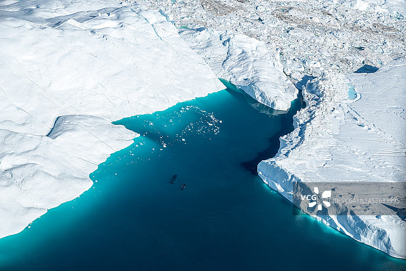 格陵兰岛融化冰山中鲸鱼的航拍照片图片素材