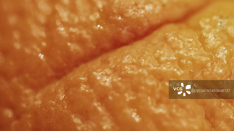 瓦伦西亚橙特写图片素材