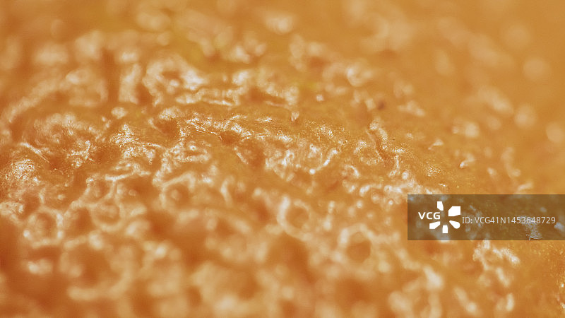 瓦伦西亚橙特写图片素材