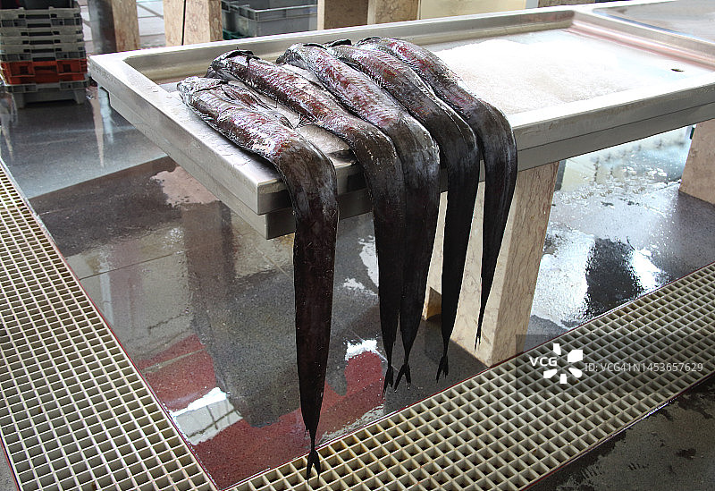 丰沙尔马德拉鱼市场上的黑 scabbardfish图片素材