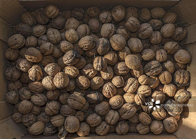 纸箱中的新鲜波斯核桃图片素材