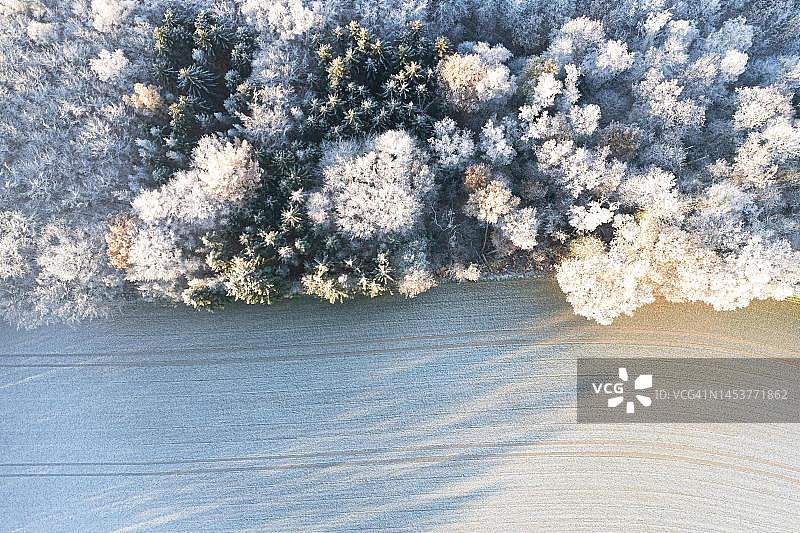 德国北莱茵-威斯特法伦州费尔贝特冬季森林到田野的过渡无人机航拍图片素材