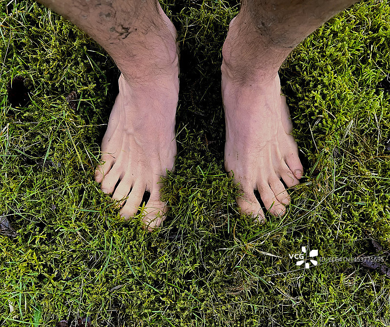赤脚与苔藓草地图片素材