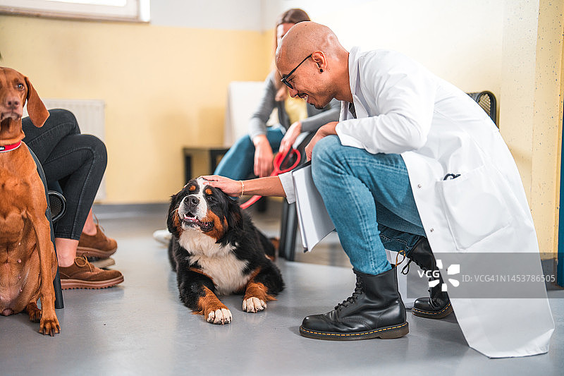 带着狗在兽医诊所的白人家庭图片素材