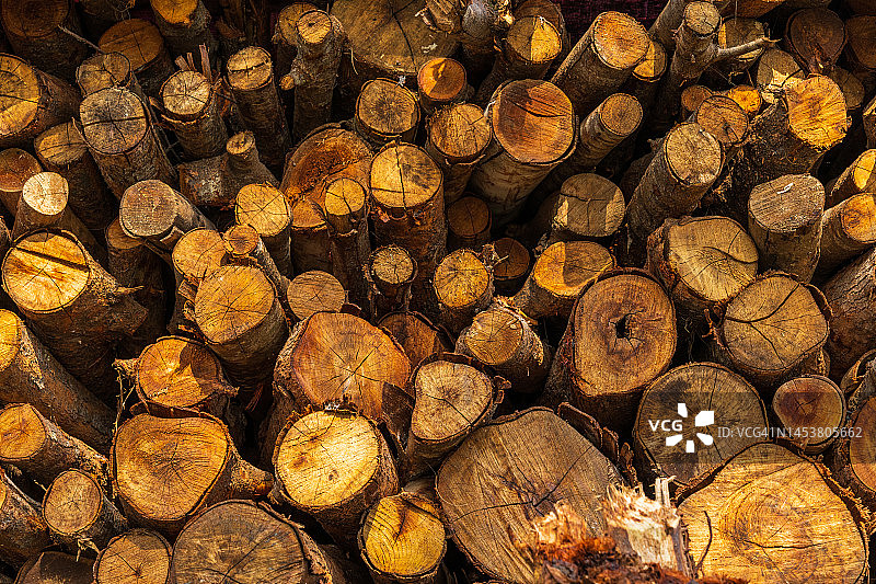 岘港柴堆，越南图片素材