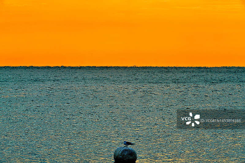 巨济市长木面松进浦里海景图片素材