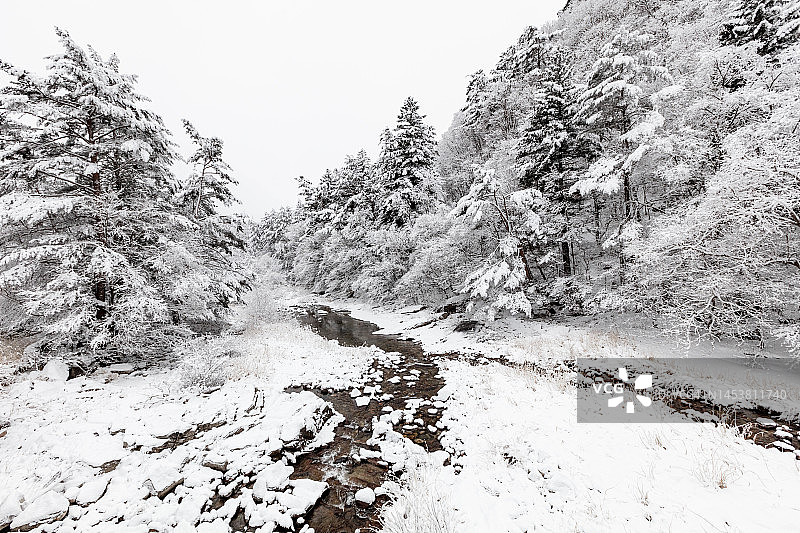 月精寺图片素材