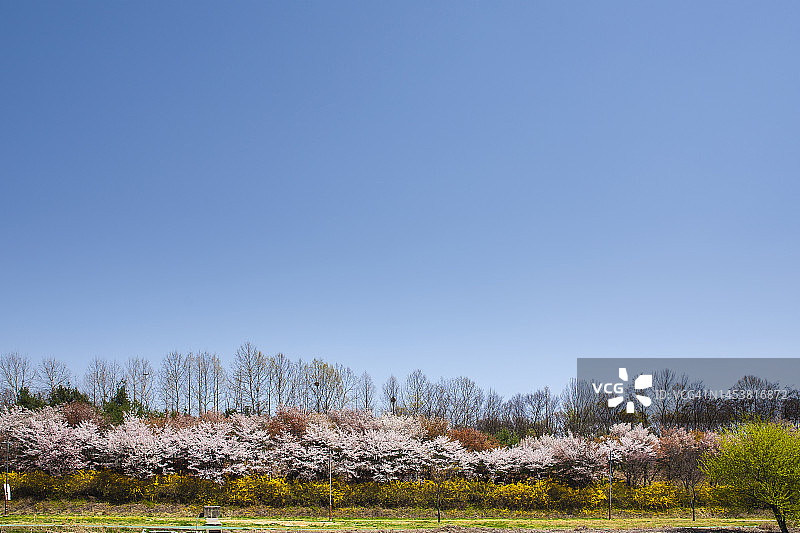 背景物体照片图片素材