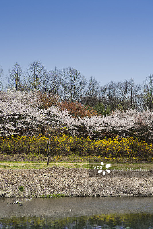 背景物体照片图片素材