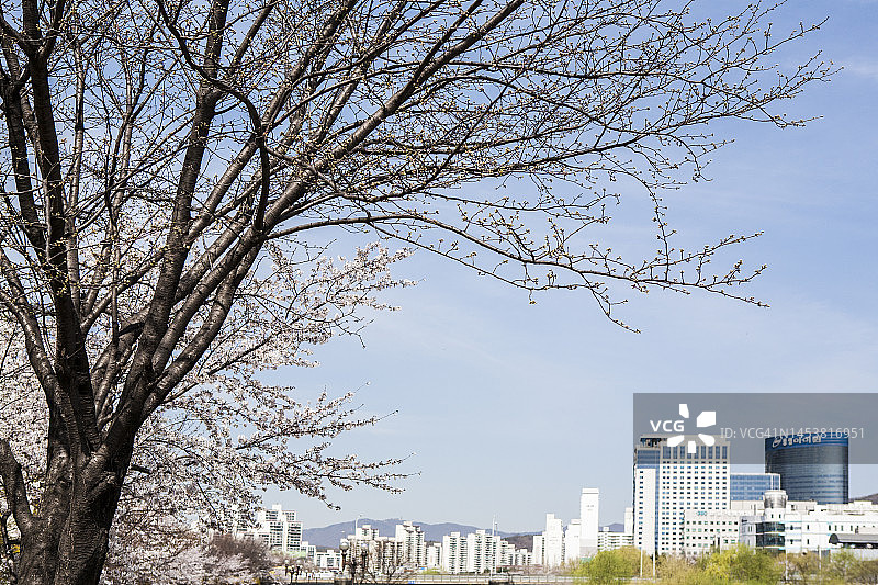 背景物体照片图片素材