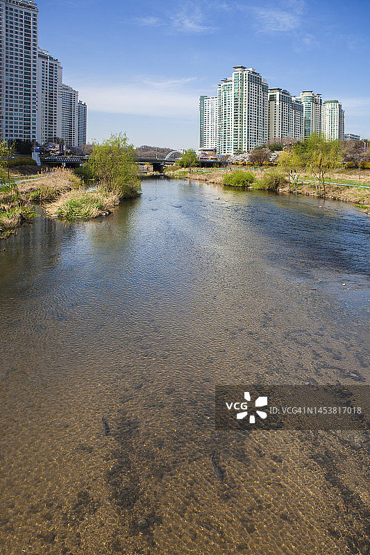 背景物体照片图片素材