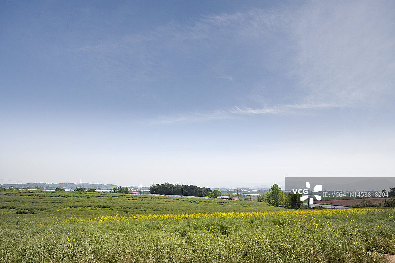 背景物体照片图片素材