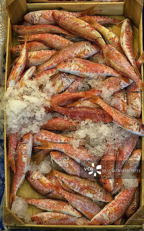 市场中冰上的高角度红鲻鱼视角图片素材