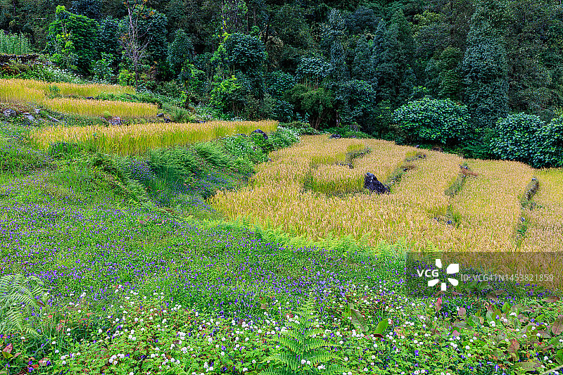 安娜普尔纳国家公园环线徒步图片素材