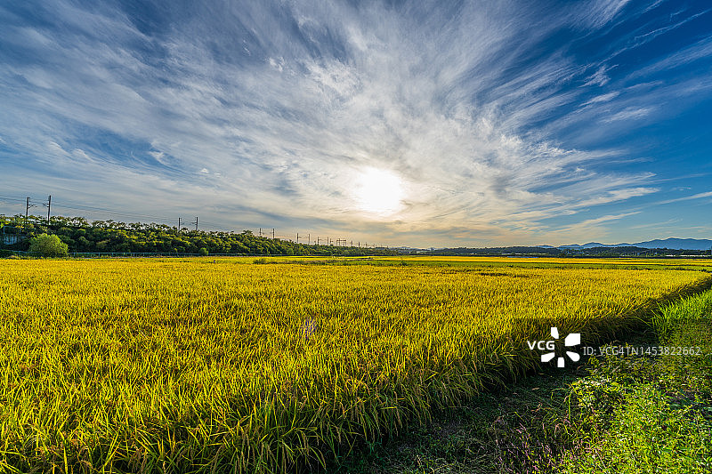 韩国京畿道骊州市田野图片素材