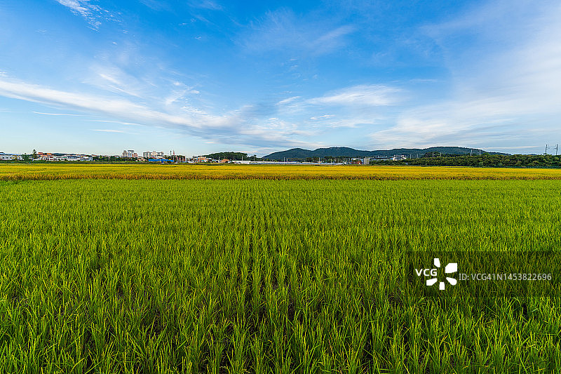 韩国京畿道骊州市田野图片素材