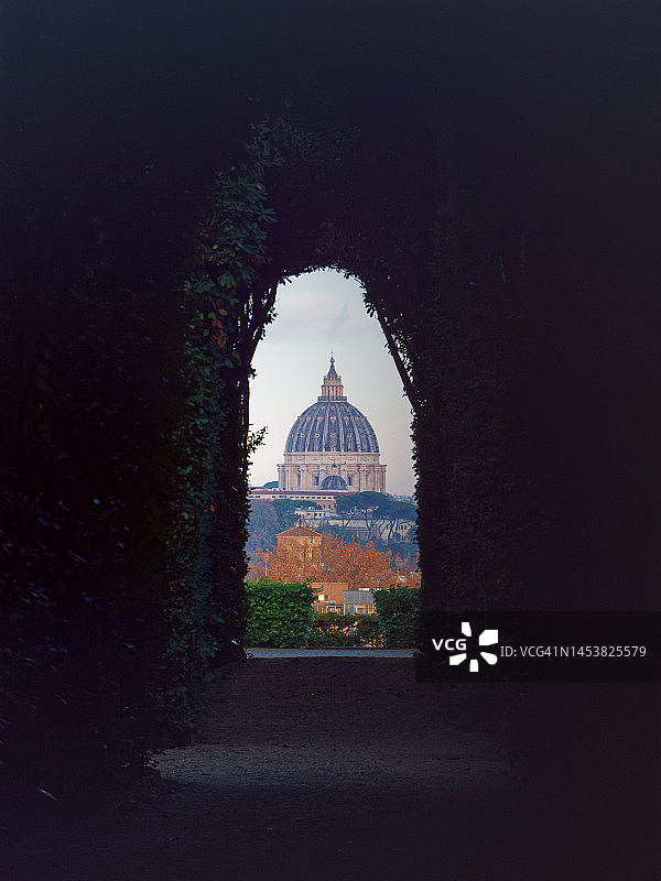 树木拱形下的圣彼得大教堂圆顶图片素材