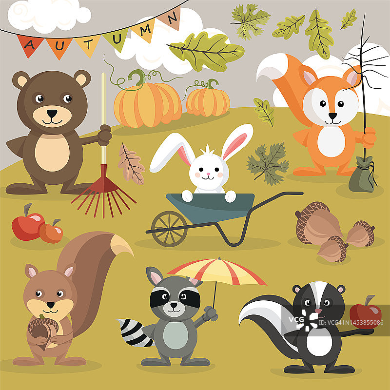 秋季幼崽动物图片素材