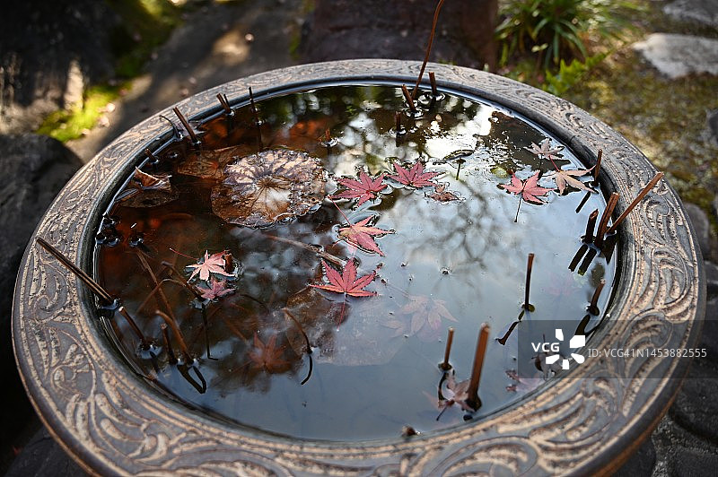 日式庭院中的石盆，漂浮着落叶图片素材