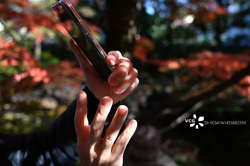 秋天的日本花园，人们用智能手机拍摄秋叶图片素材