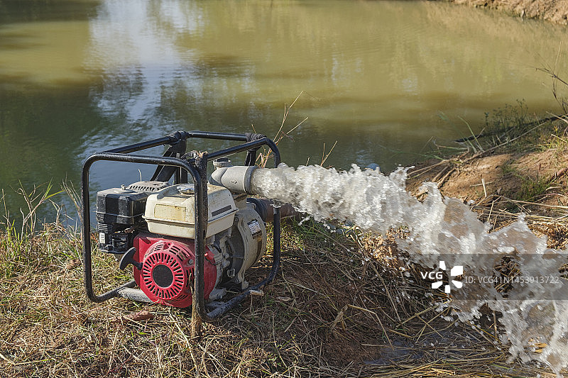 新鲜水泵特写图片素材