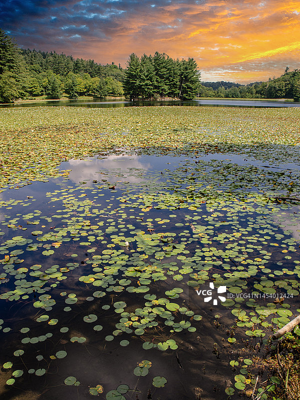 湖面上绚丽的日出图片素材