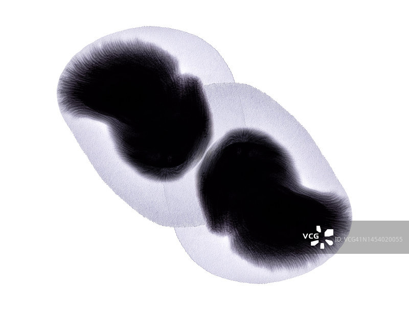 白色画布上的黑色油漆污渍和滴落图片素材