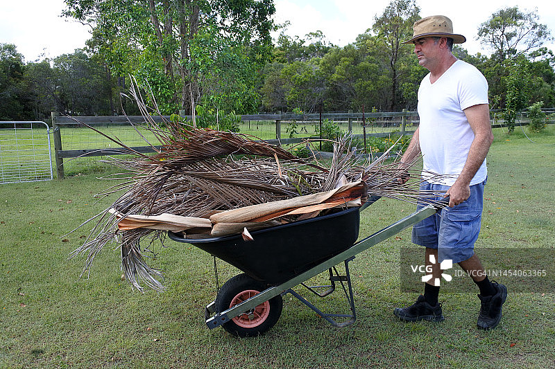 澳大利亚男子用手推车运载干燥的树叶图片素材