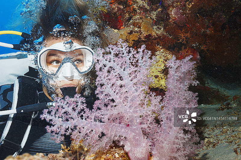 带刺的玫瑰棘穗软珊瑚 - 树珊瑚，粉色软珊瑚，海底生物，珊瑚礁，水下照片。水肺潜水员视角。背景中是女性水肺潜水员。图片素材