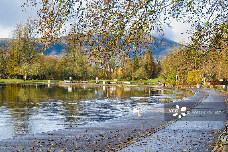 苏格兰珀斯郡特罗萨克斯地区泰斯河畔卡兰德草甸的明媚秋日阳光和色彩图片素材