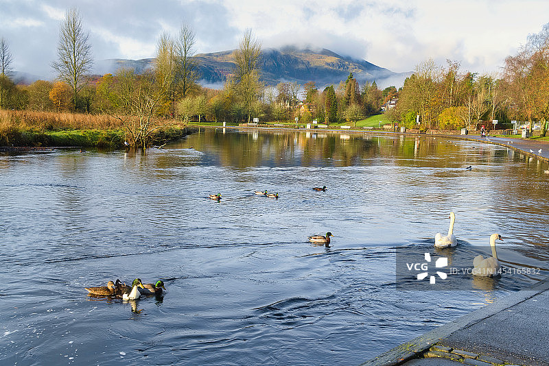 苏格兰珀斯郡特罗萨克斯地区泰斯河畔卡兰德草甸的明媚秋日阳光和色彩图片素材
