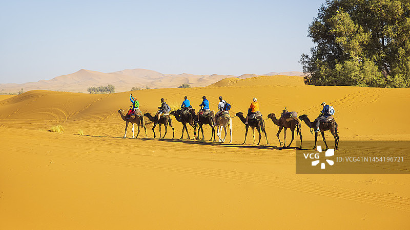 游客在摩洛哥撒哈拉沙漠Erg Chebbi的梅尔祖卡骑骆驼图片素材