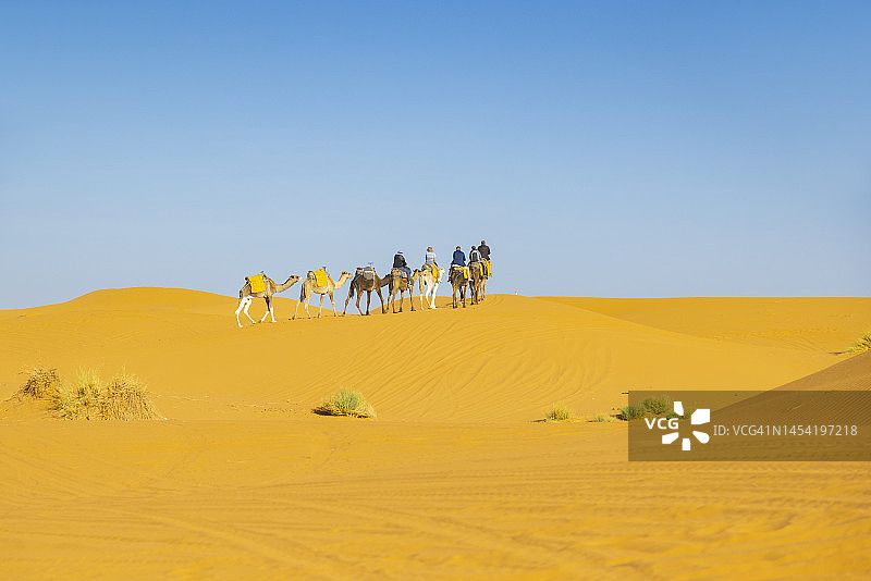 游客在摩洛哥撒哈拉沙漠Erg Chebbi的梅尔祖卡骑骆驼图片素材