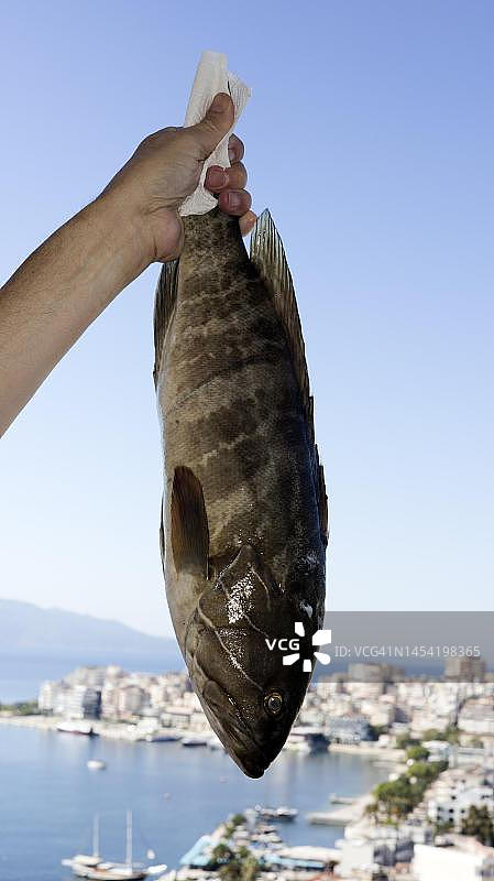 男人手持一条白石斑鱼，阿尔巴尼亚萨兰达图片素材