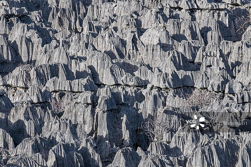 马达加斯加昂卡拉纳特别保护区青衣高原图片素材