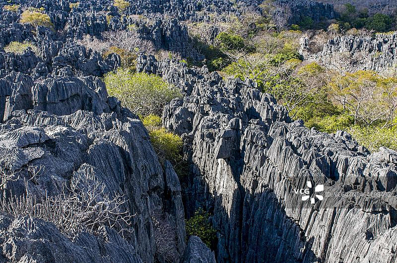 马达加斯加昂卡拉纳特别保护区青衣高原图片素材