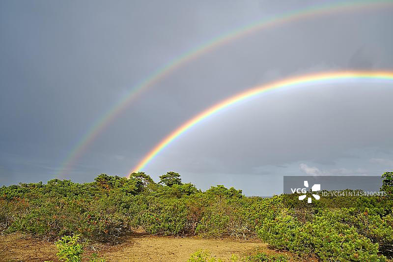 瑞典斯科讷省辛里斯港，波罗的海，树篱上的双彩虹图片素材