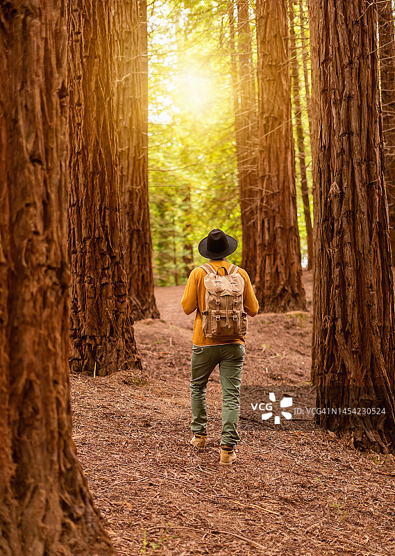 日落时分在秋日森林中行走的时尚男人图片素材