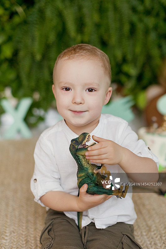 玩恐龙玩具的白人男孩图片素材