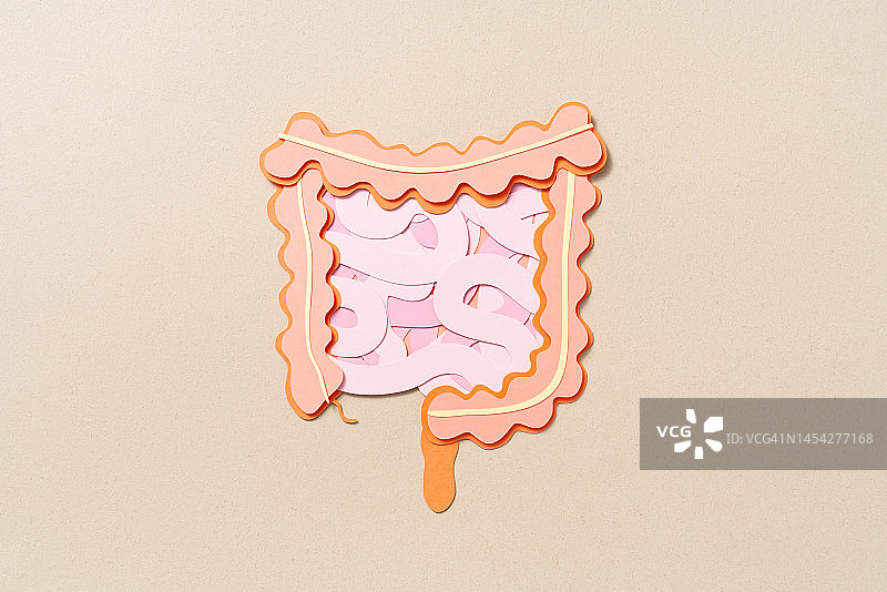 人体肠道解剖剪纸工艺图片素材